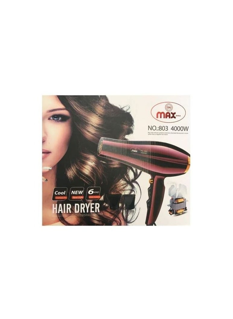 Hair dryer, powerful copper motor, 4000 watts, 2 heads, max 803 - pzsku/Z46BE43B720297270B406Z/45/_/1715980359/d47a04d1-8100-4df9-86fc-7b9b85b90741