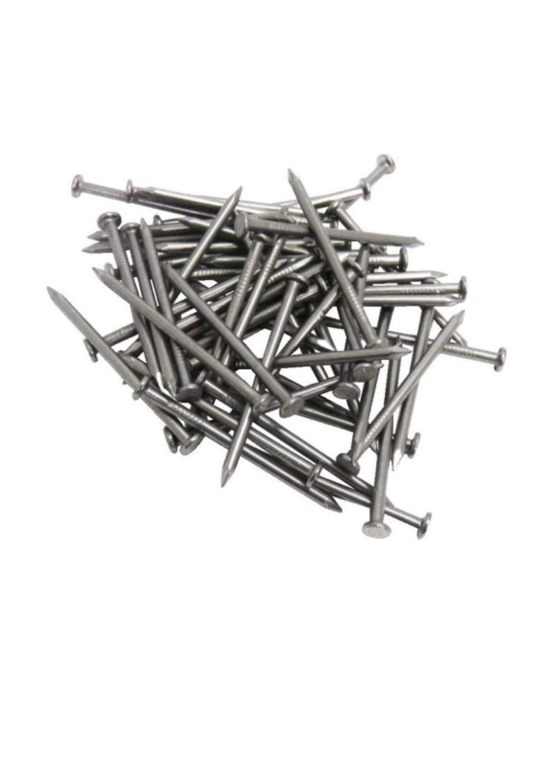 High Strength Round Head Nails For Carpentry Hardware Electrical Etc (50, 5 inch)  - Image 2