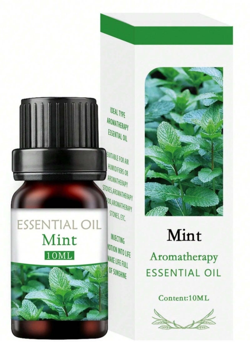 Essential Oil With Mint Scent 10ml -  Refreshing Aromatherapy Oil for Relaxation And Air Diffusers