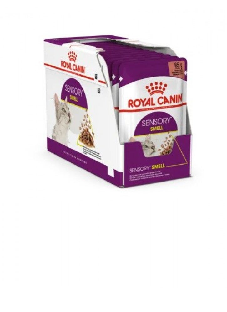 ROYAL CANIN ROYAL CANIN Sensory Smell - Cat - Gravy Pouch - BOX - 12*85g 