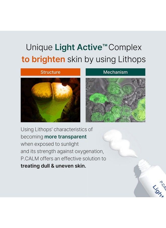 P.CALM Pcalm Light Active Facial Intense Calming Cream Even Skin Tone No Pore Clogging Blemish Dark Spot Sagging Hyperpigmentation Care Niacinamide Beta Glucan Dehydrated Dry Sensitive Oily Korean Skincare  - Image 4