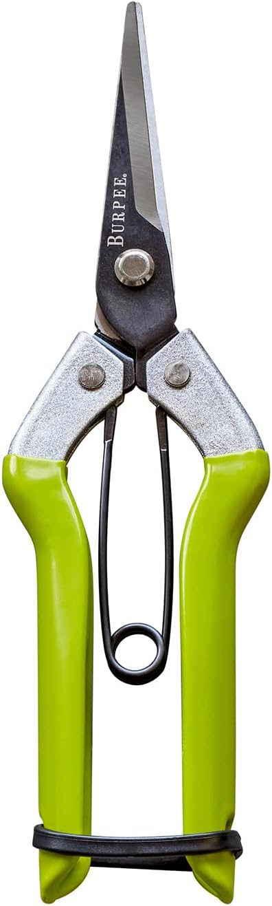 Burpee CR725 Garden Pruning Shears  Garden Hand Tools  Lightweight Precise Pruners for Gardening  Great for Flower Trimming or Vegetable Harvesting  Gardener Gifts - Image 1