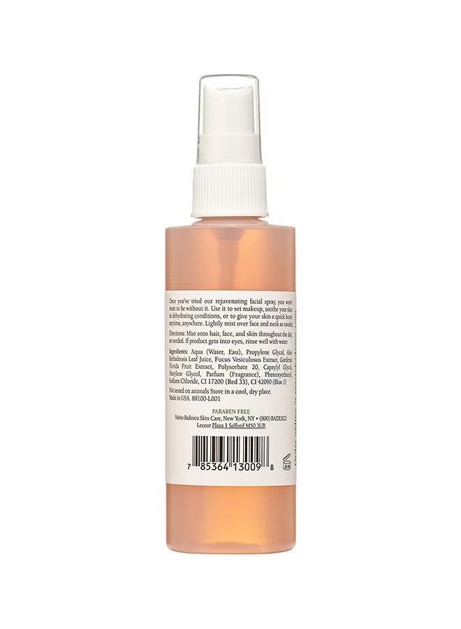 MARIO BADESCU Facial Spray With Aloe, Herbs And Rosewater Clear 118ml - Image 2