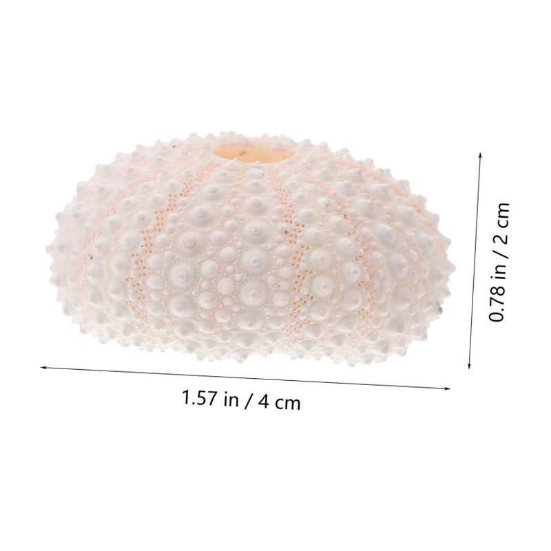 Natural Coral Photo Props Lightweight Shell Conch for Nail Art Photography Home Decor Theme Party Crafts - Image 4
