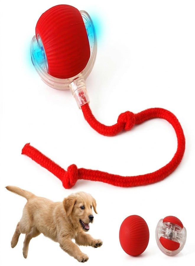 ZIGZAP LED Dog Toy Ball - Motion-Activated Smart Rolling Ball for Puppies & Dogs, USB Rechargeable, Indoor Interactive Pet Toy for Exercise & Play - Image 1