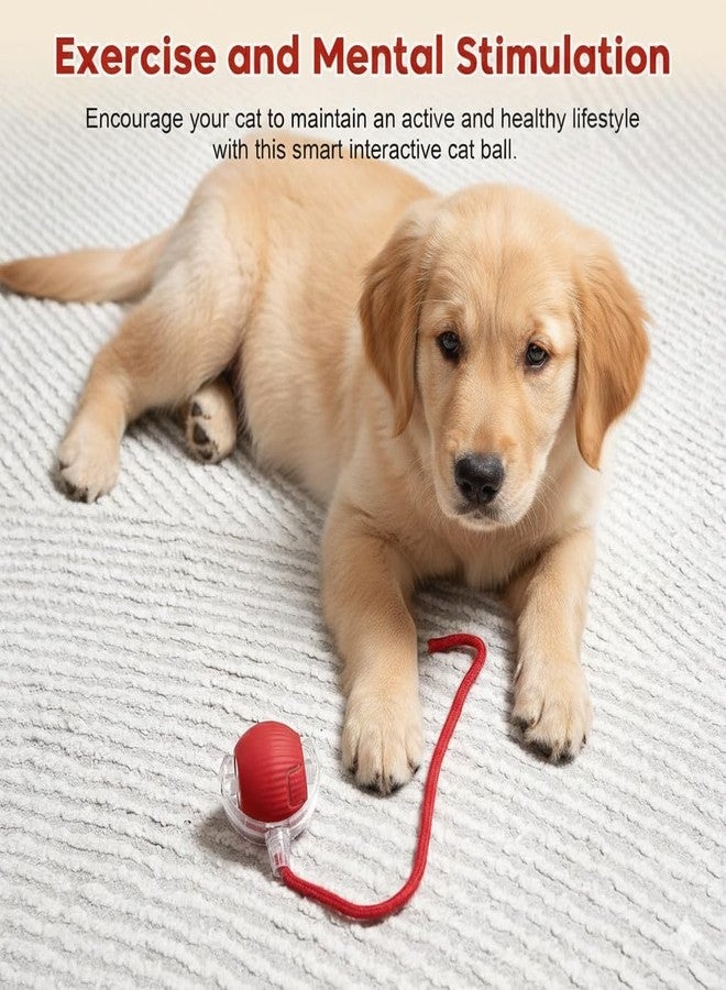 ZIGZAP LED Dog Toy Ball - Motion-Activated Smart Rolling Ball for Puppies & Dogs, USB Rechargeable, Indoor Interactive Pet Toy for Exercise & Play - Image 3