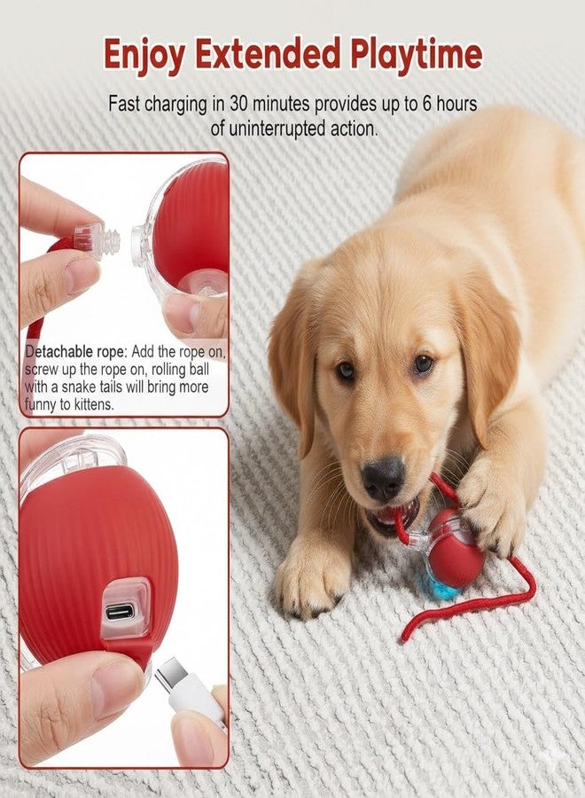 ZIGZAP LED Dog Toy Ball - Motion-Activated Smart Rolling Ball for Puppies & Dogs, USB Rechargeable, Indoor Interactive Pet Toy for Exercise & Play - Image 5