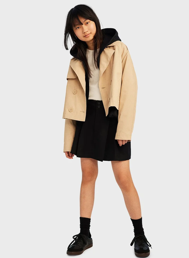 H&M Pleated High Waist Skirt