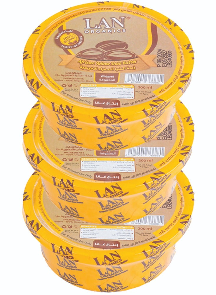 African Yellow Shea Butter 200 ml Pack OF 3