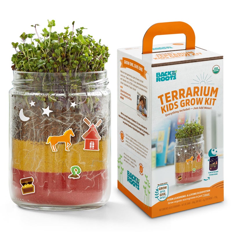 Back to the Roots مجموعة زراعة التيراريوم من باك تو ذا روتس سهلة الاستخدام مجموعة DIY لجميع الأعمار صغيرة - Image 2