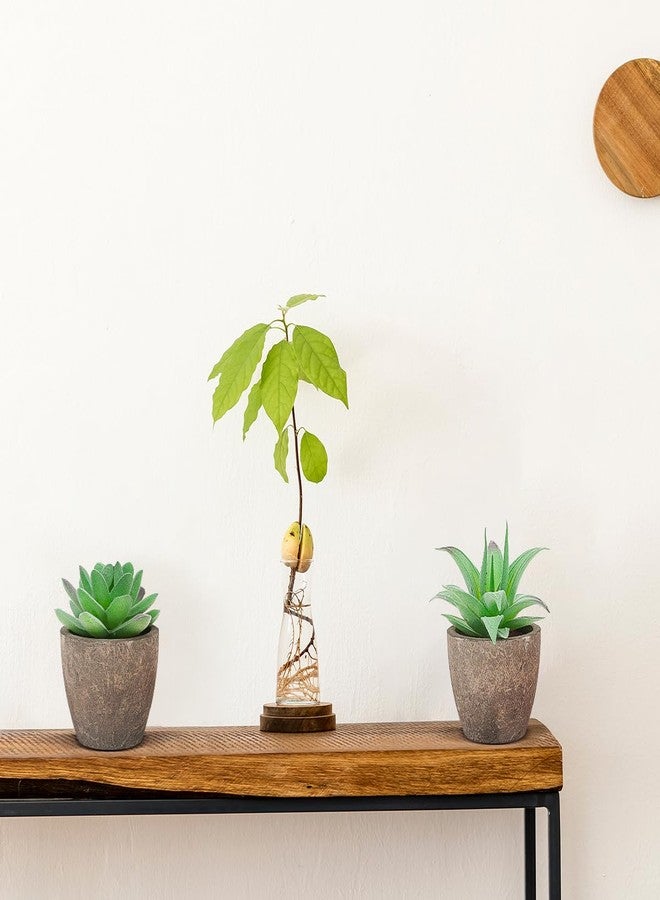 Woration 6pcs Artificial Succulents Plants Potted Assorted Decorative Faux Fake Small Green Succulent with Pot Table Shelf Windowsill Indoor Greenery Decor - Image 2