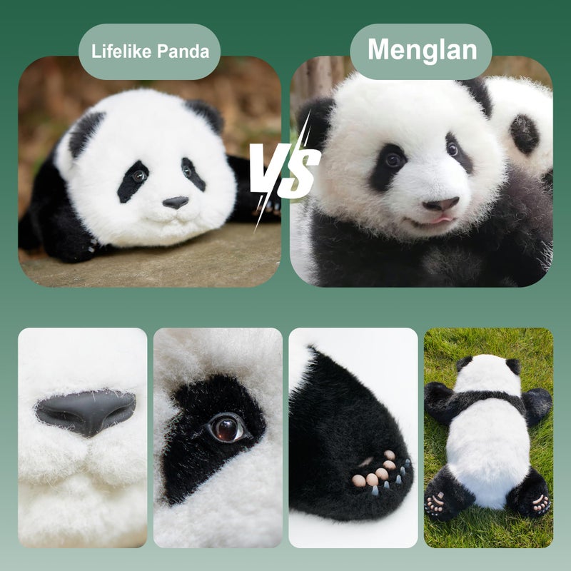 Chongker Weighted Panda Stuffed Animals, Panda Plush for Companion â€œMengLanâ€, Handmade Realistic Giant Panda Plush 4 LBS, 18" Lifelike Animals - Image 2