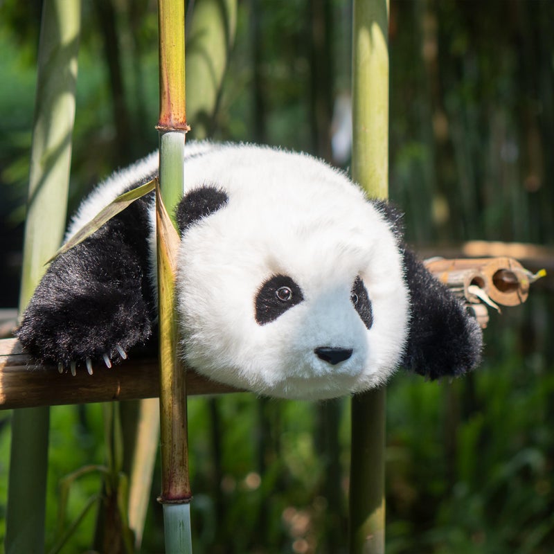 Chongker Weighted Panda Stuffed Animals, Panda Plush for Companion â€œMengLanâ€, Handmade Realistic Giant Panda Plush 4 LBS, 18" Lifelike Animals - Image 5