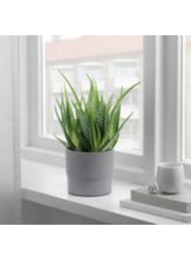 وعاء نباتات باللون الرمادي للأماكن الخارجية - Image 2