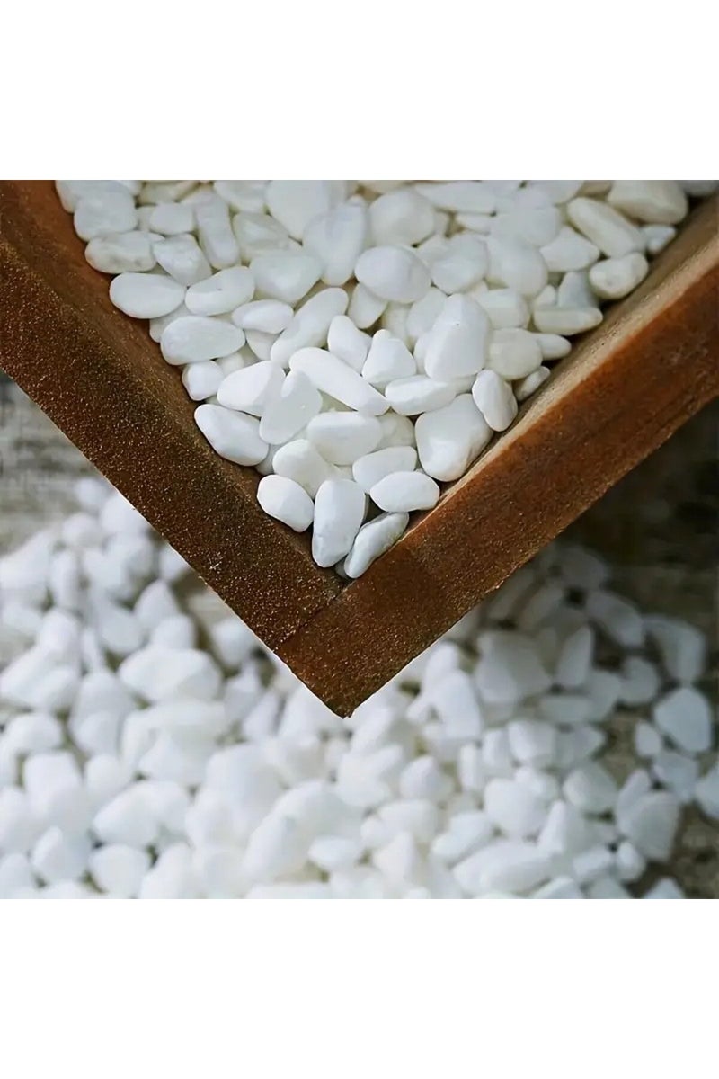 إيروريكس حجر أبيض بوزن 249 غرامًا، مناسب لتزيين أحواض السمك، وملء أصص الزهور، وتنسيق الحدائق، والمزهريات. - Image 1