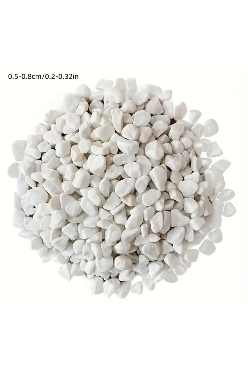 إيروريكس حجر أبيض بوزن 249 غرامًا، مناسب لتزيين أحواض السمك، وملء أصص الزهور، وتنسيق الحدائق، والمزهريات. - Image 2
