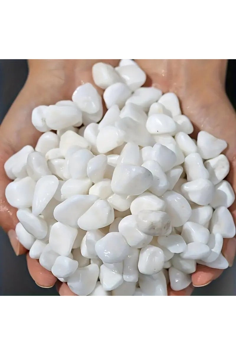 إيروريكس حجر أبيض بوزن 249 غرامًا، مناسب لتزيين أحواض السمك، وملء أصص الزهور، وتنسيق الحدائق، والمزهريات. - Image 3