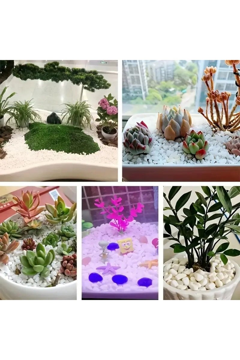 إيروريكس حجر أبيض بوزن 249 غرامًا، مناسب لتزيين أحواض السمك، وملء أصص الزهور، وتنسيق الحدائق، والمزهريات. - Image 5