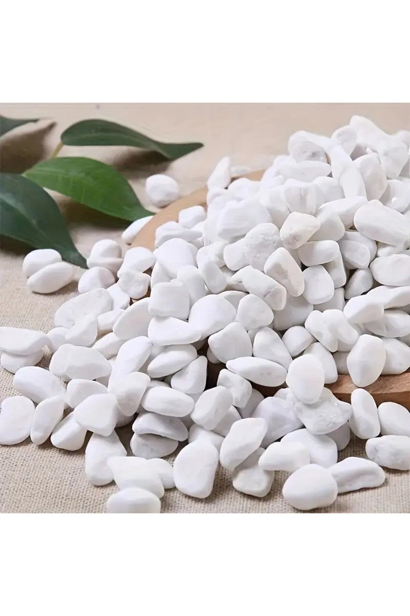 إيروريكس حجر أبيض بوزن 249 غرامًا، مناسب لتزيين أحواض السمك، وملء أصص الزهور، وتنسيق الحدائق، والمزهريات. - Image 4