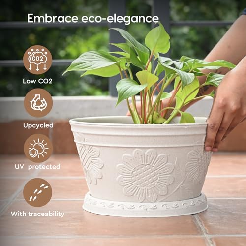 Eha Earth Friendly Nile Planter 9.5 inch Planters for Home Decor| Bamboo Based Plant Pot | Pack of 6 | UV Protected Pot for Plant | Flower Pot for Living Room, for Outdoor and Indoor | Sand Castle - Image 3