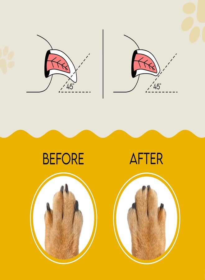 AnimoGoods Dog Nail File, Cat Nail File, Dog Nail File Board - Stress-Free Nail Filing for Dogs, Nail File for Dogs, Dog Scratch Pad for Nails, Handle Made from 100% Real Wood - Image 4