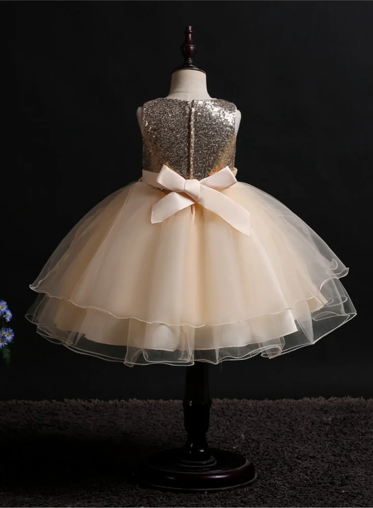 D'Daniela Sequin Bodice Tulle Dress