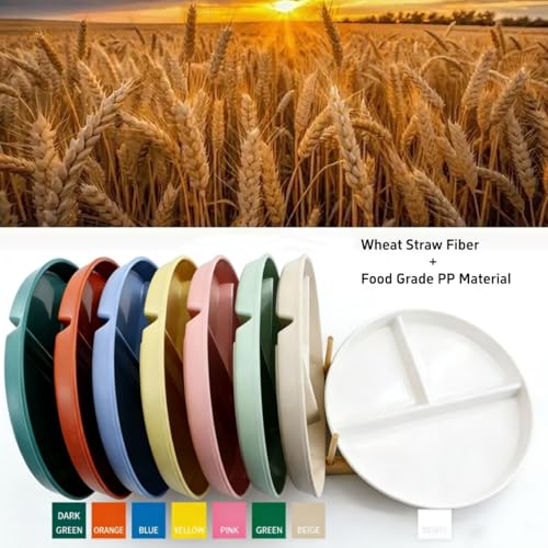 falichchch 9-Inch Large Multicolor Wheat Straw Divided Plates – Unbreakable 3-Compartment Plates for Portion Control & Healthy Eating Microwave & Dishwasher Safe – Eco-Friendly & Reusable (8) - Image 2