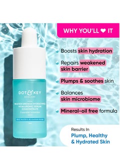 Dot & Key Dot & Key Hydrating Hyaluronic Acid Serum With Vitamin C + E | For Plump, Glowing Skin | Face Serum for Dry Skin, Oily & Normal Skin | With Ceramide & Acai Berry | 30ml  - Image 2