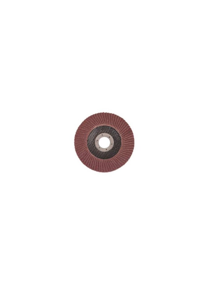 Apt APT 115mm Fan Sander