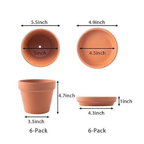 Yishang Terra Cotta Pots with Saucer- 6-Pack Large Clay Pots 5.5'' Ceramic Pottery Planter Cactus Flower Succulent Pot with Drainage Hole- Great for Plants,Crafts terra cotta planter - Image 2