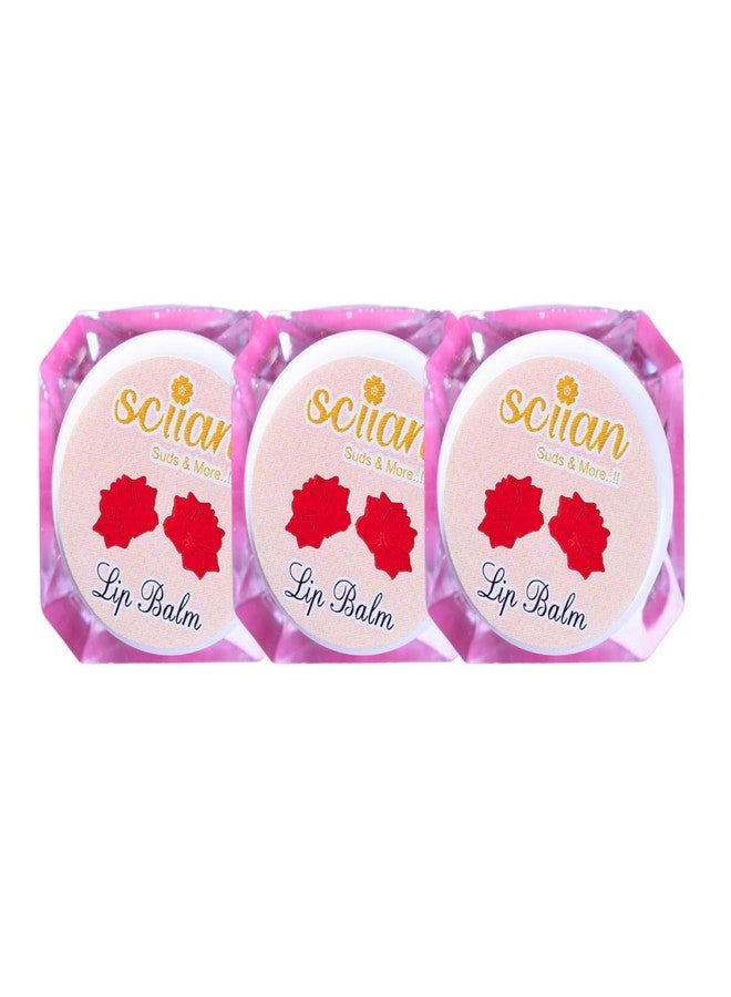 SCIIAN Rose Lip Balm for Naturally Glowing and Hydrated Lips 10 gm | Moisturizing Lip Balm | Lip Balm for Dry Lips | Lip Balm for Women | Lip Balm for Dark Lips to Lighten | Lip Balm with spf | Pack of 3 - Image 1