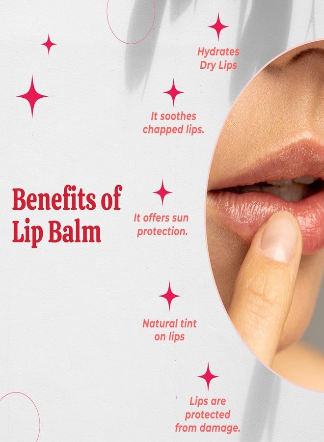 SCIIAN Rose Lip Balm for Naturally Glowing and Hydrated Lips 10 gm | Moisturizing Lip Balm | Lip Balm for Dry Lips | Lip Balm for Women | Lip Balm for Dark Lips to Lighten | Lip Balm with spf | Pack of 3 - Image 3