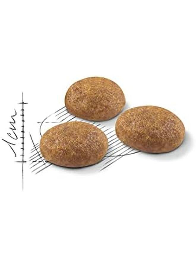 رويال كانين طعام القطط ذو الشعر الطويل من إف إتش إن، 2 كجم، 03Rcil2 - Image 3