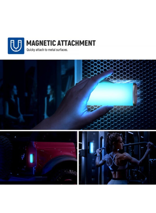نيوير TL98C Magnetic Handheld Light Wand with APP/DMX Control - Image 3