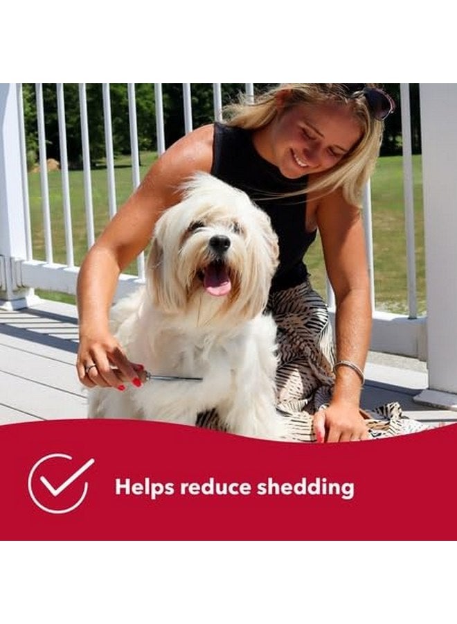 كوستال أمشاط إزالة الشعر من الكلاب من Coastal Pet Safari - فرشاة إزالة الشعر من الكلاب ذات الشعر القصير والطويل - أسنان مختلفة الحجم لتنظيف الطبقة السفلية - 7 × 1.5 بوصة - Image 5