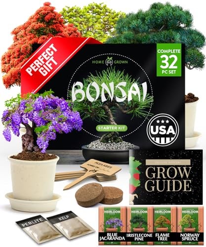 HOME GROWN Bonsai Tree Kit 𝗨𝗦𝗔 Gifts for Men & Women - Grow 4 Bonsai Trees - Unique Gardening Crafts for Adults, DIY Hobbies for Plant Lovers & Gardeners - Unusual Christmas Gift Ideas for Mom & Dad - Image 1