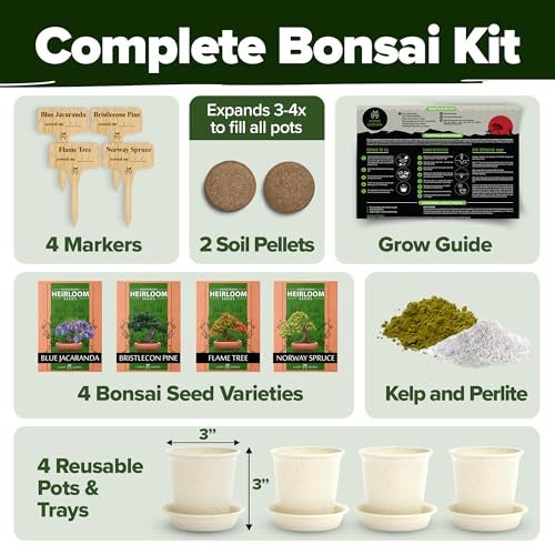 HOME GROWN Bonsai Tree Kit 𝗨𝗦𝗔 Gifts for Men & Women - Grow 4 Bonsai Trees - Unique Gardening Crafts for Adults, DIY Hobbies for Plant Lovers & Gardeners - Unusual Christmas Gift Ideas for Mom & Dad - Image 2