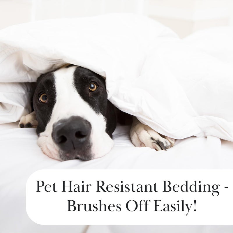 شركة ساوث شور فاين ليفينج طقم لحاف من 3 قطع - Image 5