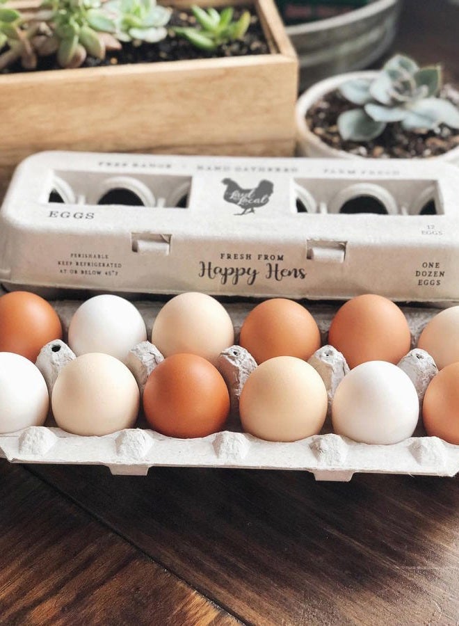 Henlay Vintage Printed Egg Cartons 90 Carton Value Pack - Securely Holds One Dozen Small to XL Chicken Eggs - Image 2