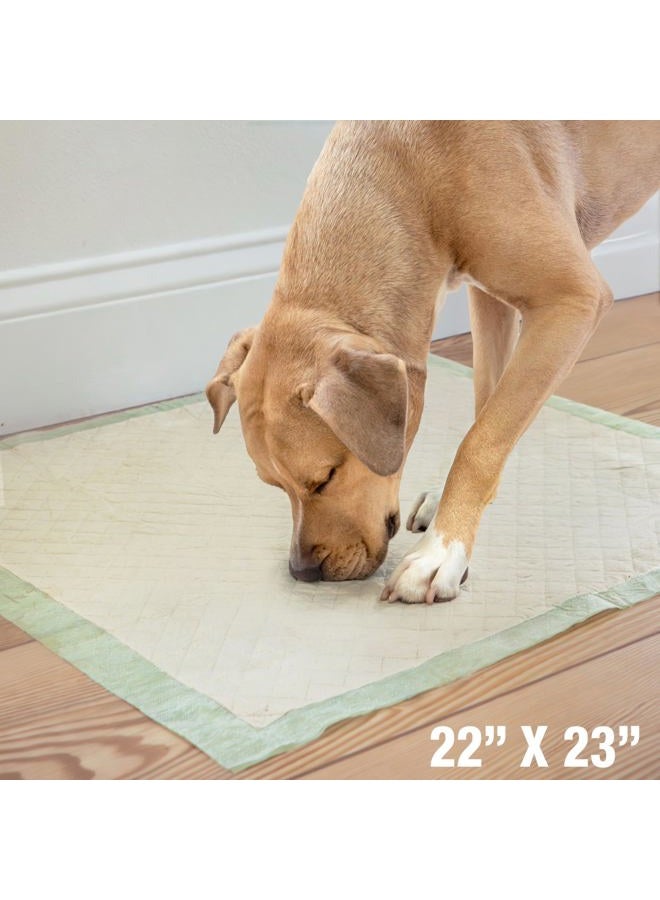 four paws Wee-Wee Superior Performance Bamboo Pee Pads for Dogs, Earth Friendly Dog & Puppy Potty Training Pads, Crate Liners, Housebreaking Supplies, 22" x 23" (14 Count) - Image 3