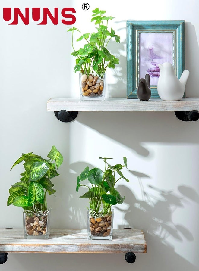 UNUNS Fake Plants With Pot,3-Piece Simulated Plant Set, Indoor Small Artificial Potted Plants, Clear Glass Flower Pots,Artificial Plants for Home Decoration,Green - Image 3