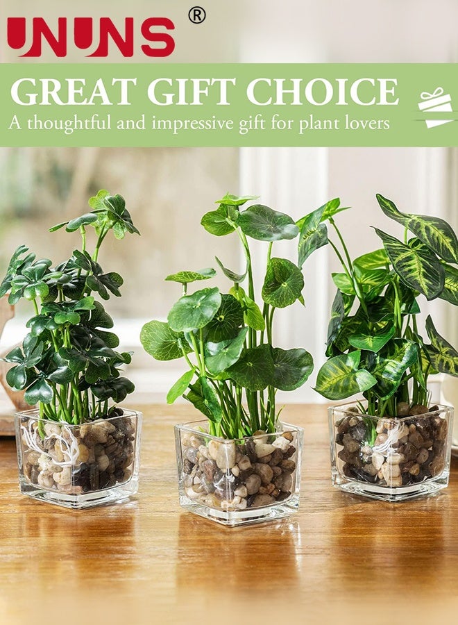 UNUNS Fake Plants With Pot,3-Piece Simulated Plant Set, Indoor Small Artificial Potted Plants, Clear Glass Flower Pots,Artificial Plants for Home Decoration,Green - Image 2