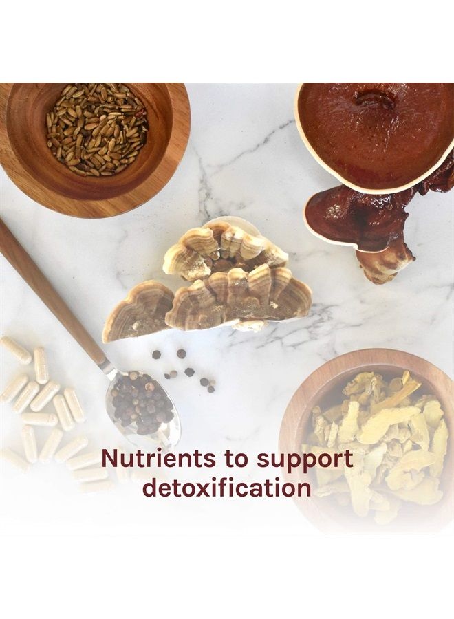 Host Defense , MycoBotanicals Liver Capsules, Supports Liver Health and Detoxification, Mushroom and Herb Supplement, 60 Capsules, Unflavored - Image 5