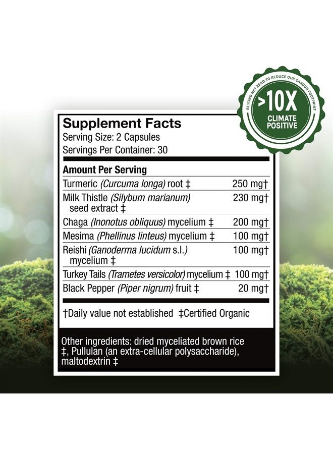 Host Defense , MycoBotanicals Liver Capsules, Supports Liver Health and Detoxification, Mushroom and Herb Supplement, 60 Capsules, Unflavored - Image 3