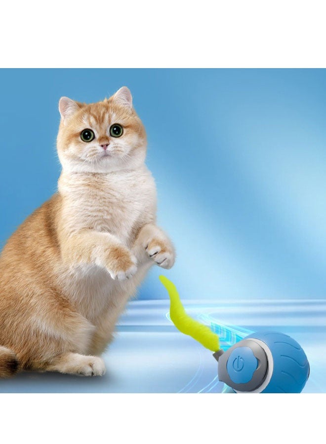 Tutuball Automatic Cat Teaser Ball Smart Evasion Adorable Chew - Resistant Cat Toy New Release - Image 5