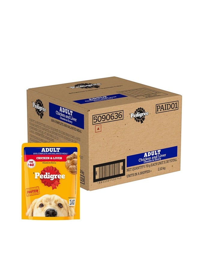Pedigree - Adult Wet Dog Food, Chicken & Liver Chunks In Gravy, 70 G (Pack Of 30), Made With Real Meat & High Quality Protein, 100% Complete & Balanced Meal For Adult Dogs - Image 1