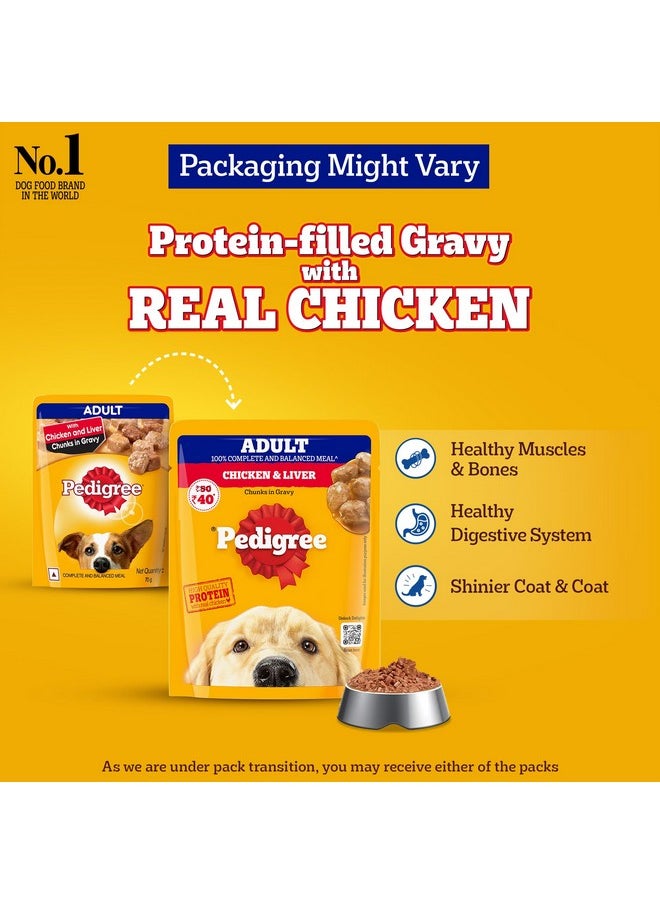 Pedigree - Adult Wet Dog Food, Chicken & Liver Chunks In Gravy, 70 G (Pack Of 30), Made With Real Meat & High Quality Protein, 100% Complete & Balanced Meal For Adult Dogs - Image 1