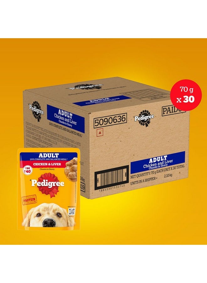 Pedigree - Adult Wet Dog Food, Chicken & Liver Chunks In Gravy, 70 G (Pack Of 30), Made With Real Meat & High Quality Protein, 100% Complete & Balanced Meal For Adult Dogs - Image 1