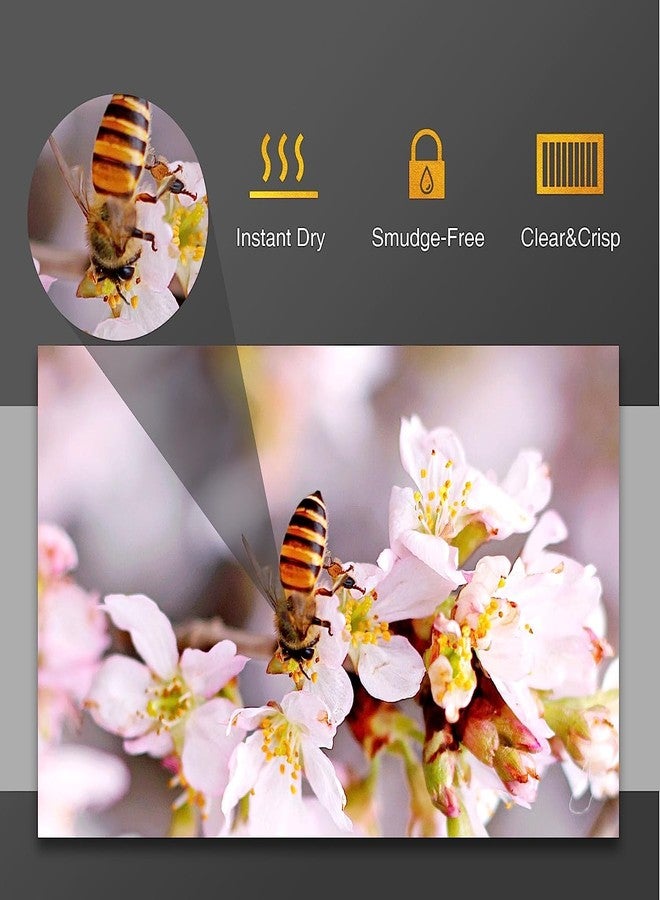 BIGFALCON Premium Ultra Glossy Photo Paper 260 GSM A4 Size (210x297mm) RC Resin Coated Water proof Inkjet Photo Paper 20 Sheets for all Inkjet Printer - Image 5