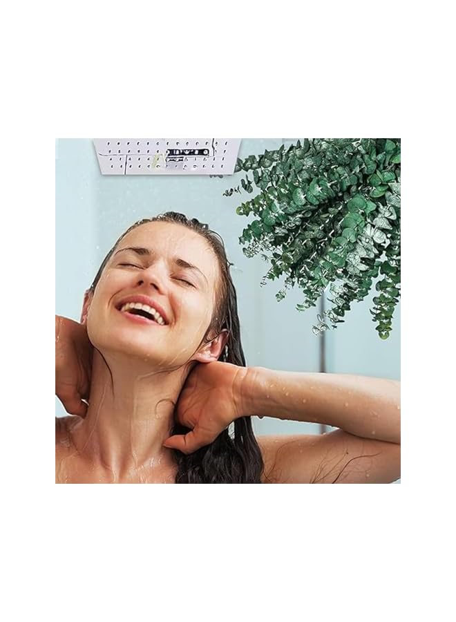 The Bros سيقان الكينا المجففة للاستحمام، 10 قطع بطول 17 بوصة من فروع أوراق الكينا الطبيعية الطازجة لتزيين المنزل في حفلات الزفاف - Image 4